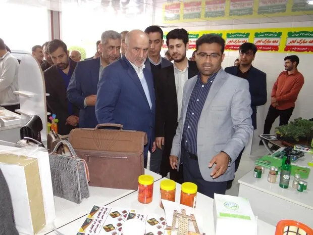 نمایشگاه دستاوردهای ۴۴ ساله انقلاب در شهرستان دشتی گشایش یافت